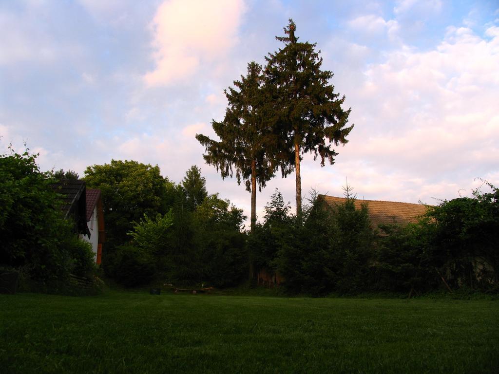 Agroturystyka Kalina Wielka Exterior photo